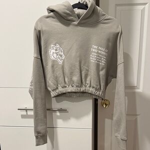 Darc Sport Gray Cropped Hoodie